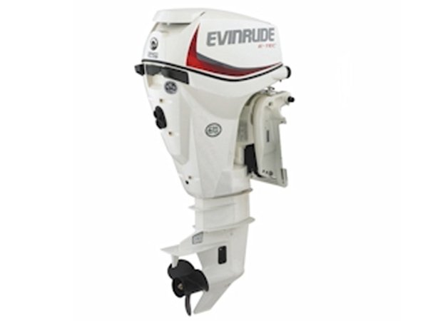 2017 Evinrude E25DPSL Outboard - Commercial View