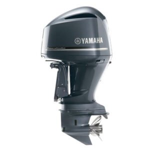 2017 Yamaha 4.2L Outboard - Commercial View