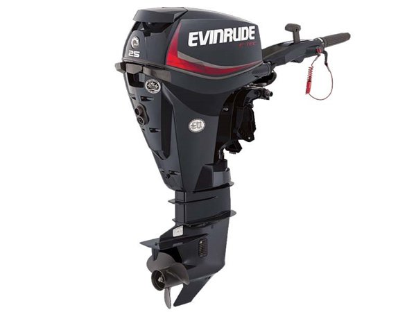 2018 Evinrude E25DGTE Outboard - Commercial View