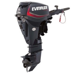 2018 Evinrude E25DGTL Outboard - Commercial View