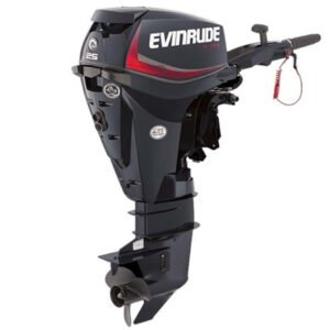2018 Evinrude E25DRG Outboard - Commercial View
