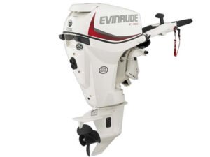 2018 Evinrude E25DRS Outboard - Commercial View