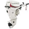 2018 Evinrude E25DTSL Outboard - Commercial View
