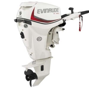 2018 Evinrude E25DTSL Outboard - Commercial View