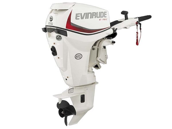 2018 Evinrude E25DTSL Outboard - Commercial View