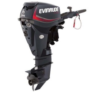 2018 Evinrude E25GTEL Outboard - Commercial View