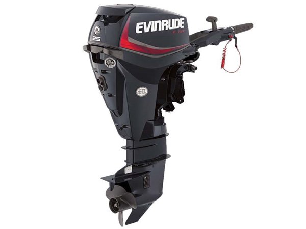 2018 Evinrude E25GTEL Outboard - Commercial View