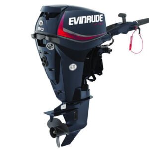 2018 Evinrude E30DGTL Outboard - Commercial View