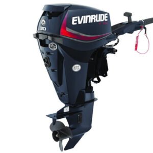 2018 Evinrude E30DRG Outboard - Commercial View