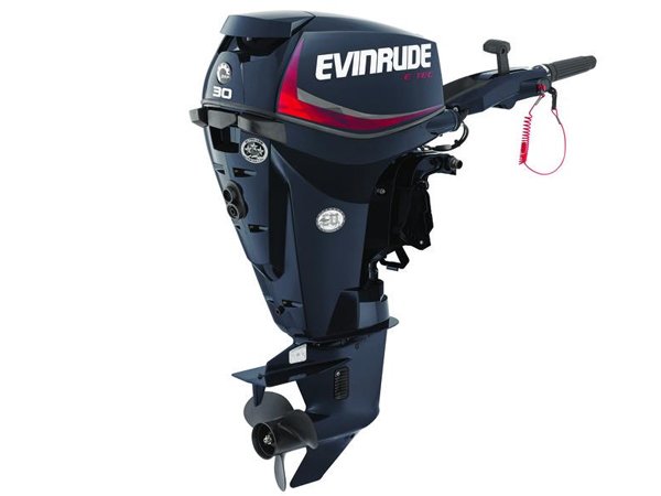 2018 Evinrude E30DRG Outboard - Commercial View
