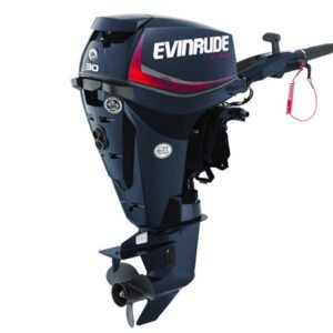 2018 Evinrude E30DRGL Outboard - Commercial View
