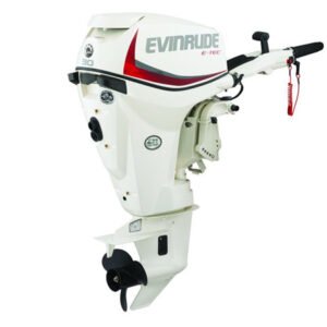 2018 Evinrude E30DRS Outboard - Commercial View