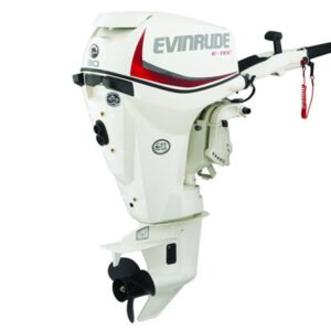 2018 Evinrude E30DRSL Outboard - Commercial View