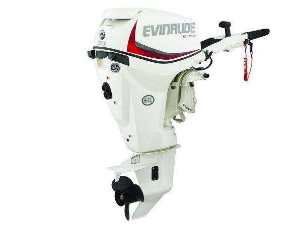2018 Evinrude E30DRSL Outboard - Commercial View