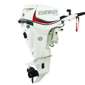 2018 Evinrude E30DTSL Outboard - Commercial View