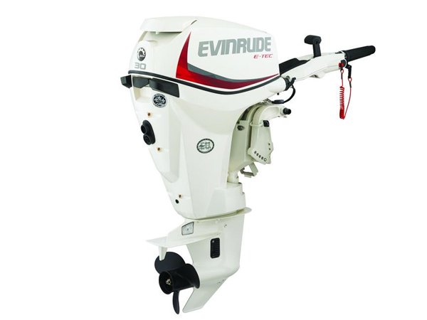 2018 Evinrude E30DTSL Outboard - Commercial View