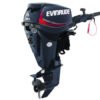 2018 Evinrude E30GTEL Outboard - Commercial View