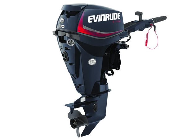 2018 Evinrude E30GTEL Outboard - Commercial View