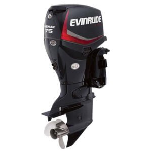 2018 Evinrude E75DPGL Outboard - Commercial View