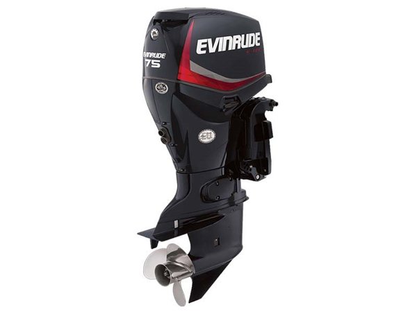 2018 Evinrude E75DPGL Outboard - Commercial View